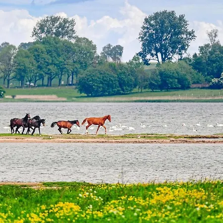 Vakantiehuis 2 Bedroom Lovely In Boiensdorf