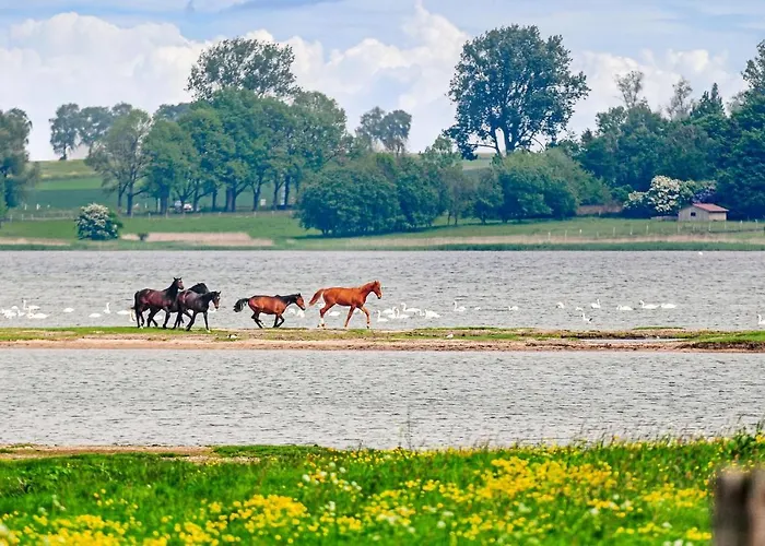 Сasa de vacaciones 2 Bedroom Lovely In